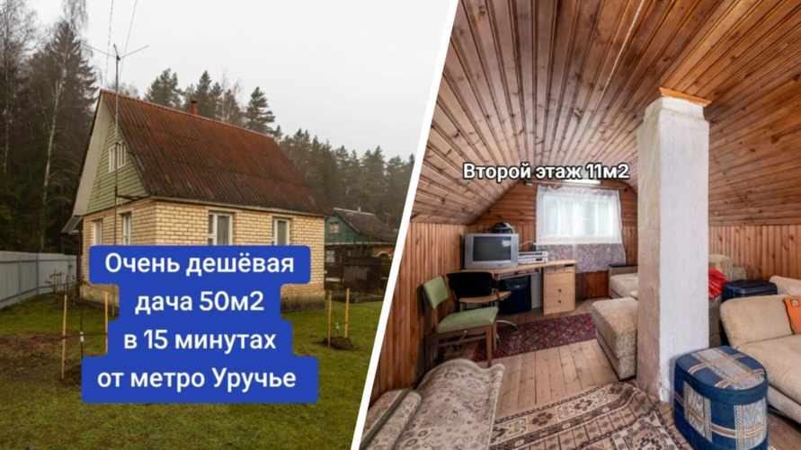 "За что??" - Минчанам предложили "очень дешевую" дачу за $40 тыс. В TikTok назвали другие цены