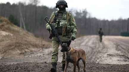 ГПК решил увольнять белорусских пограничников за дискредитацию госорганов