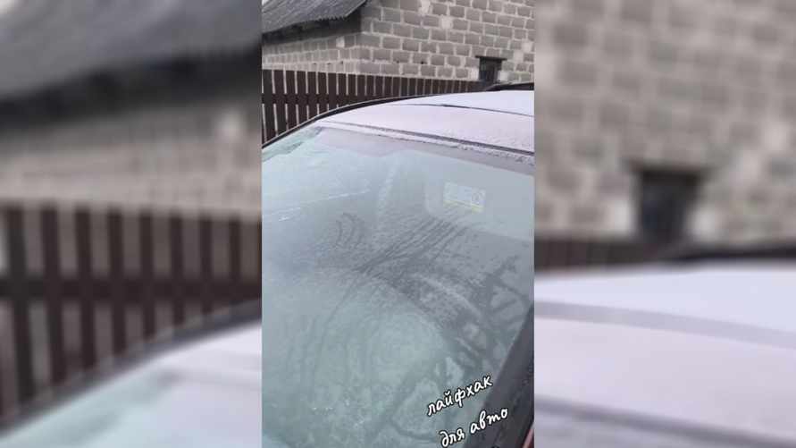 "Однозначно работает" - Белорус показал, как отогреть лобовое при морозах. В TikTok напомнили о штрафе