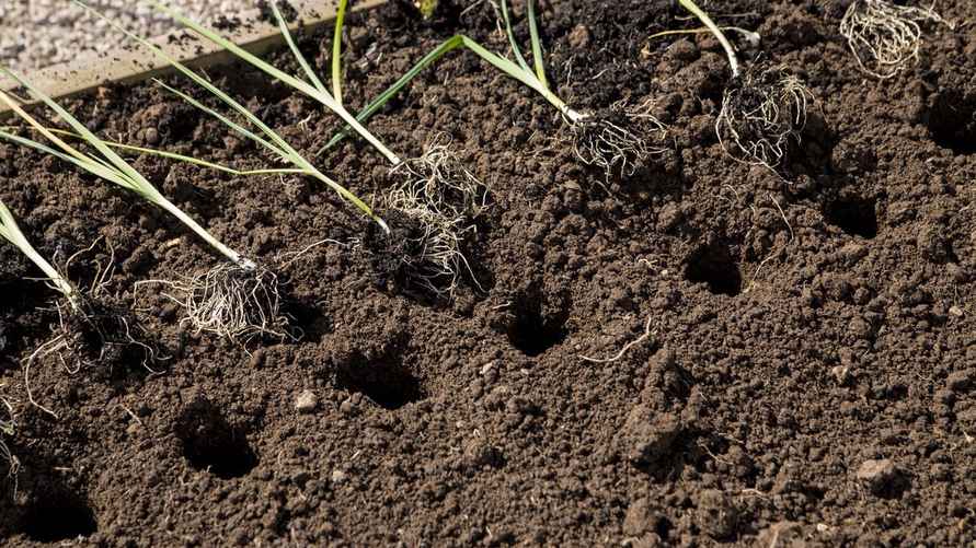 Фото: shutterstock