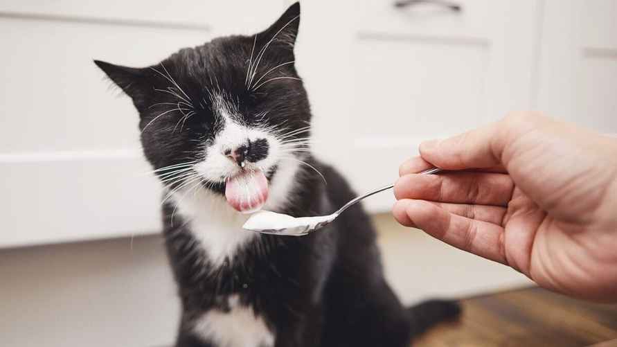 Фото: Panthermedia/Imago