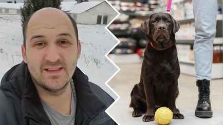 «Если нет лишних 100$ каждый месяц, не заводите» — Кинолог раскрыл белорусам реальные расходы на собаку