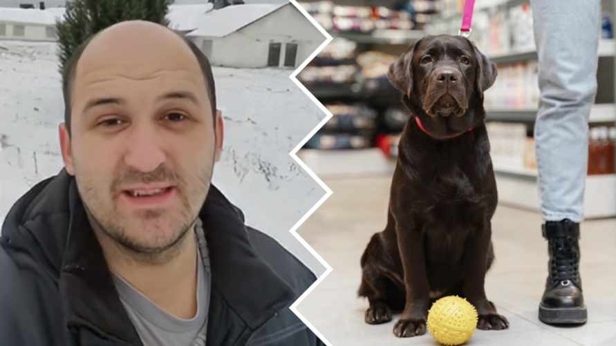 Фото: TikTok и freepik.com