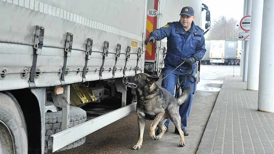 Фото иллюстрационное