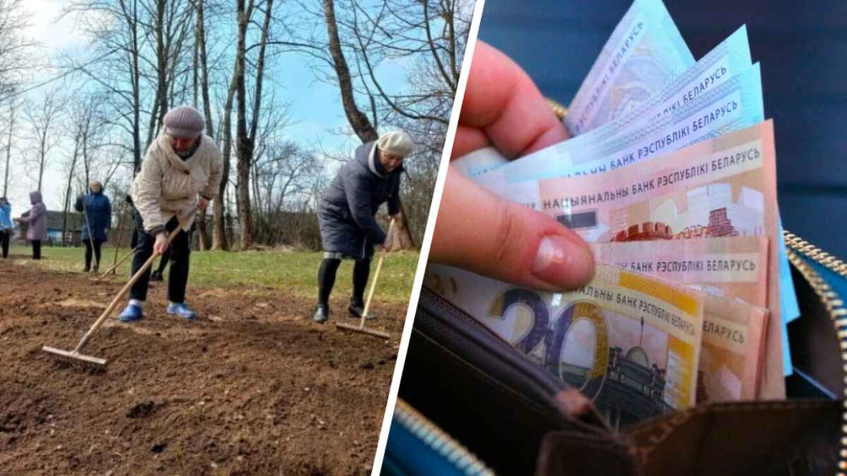 Экологи пригрозили белорусам штрафом в 1260 рублей за этот вид весеннего «благоустройства»