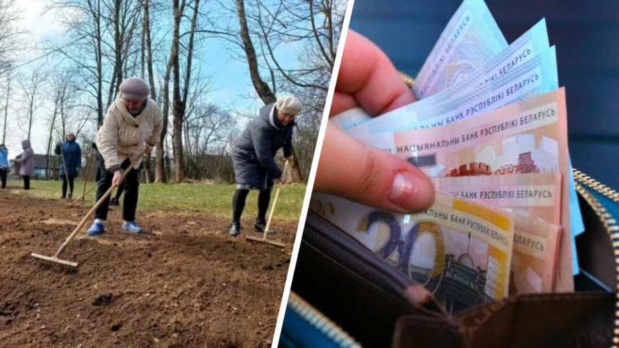 Экологи пригрозили белорусам штрафом в 1260 рублей за этот вид весеннего «благоустройства»