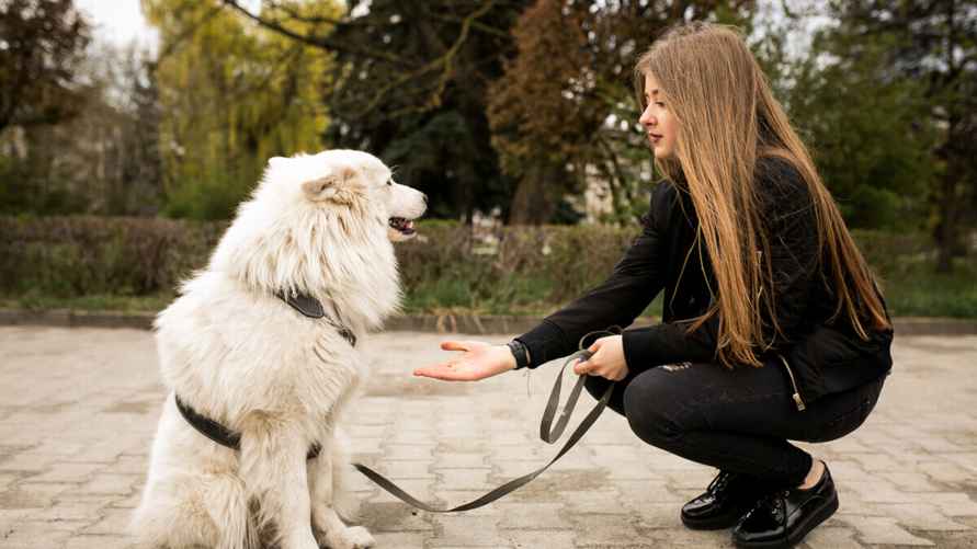 Фото иллюстрационное. Автор: senivpetro/freepik.com