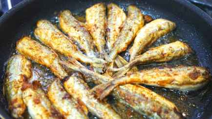 Эта рыба с запахом огурца заставит забыть о минтае и треске. Чем полезна белорусам?