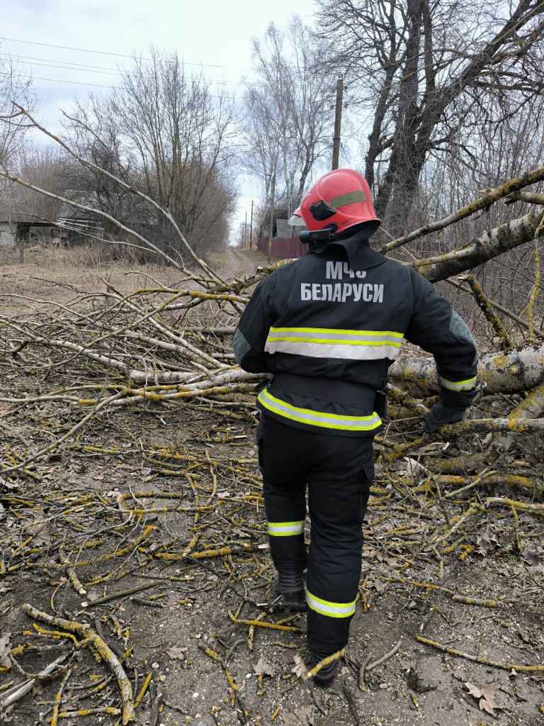 Штормовой ветер повредил крыши домов и школ на Могилёвщине, без света оставались 223 деревень и посёлков по всей Беларуси