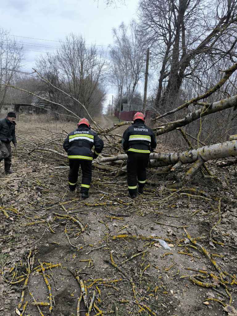 Штормовой ветер повредил крыши домов и школ на Могилёвщине, без света оставались 223 деревень и посёлков по всей Беларуси