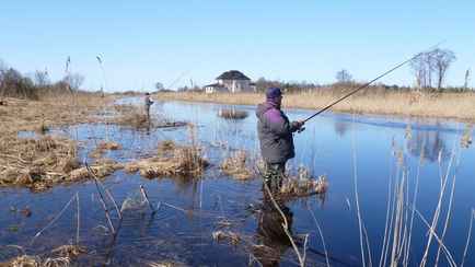 Природоохрана объявила ограничения для рыбаков по всей Беларуси. За что грозит штраф до 1260 рублей?