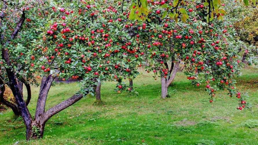 Фото: kartinki.pics