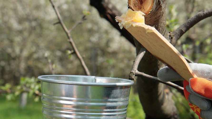 Фото: facenewss.ru