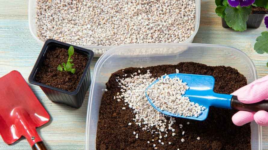 Фото: Shutterstock