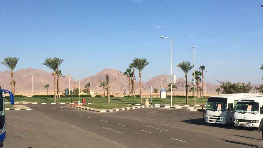 Фото Вероники Семенча