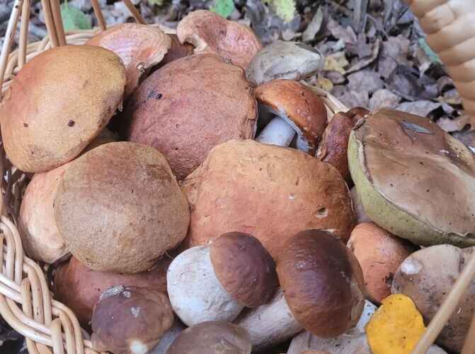 Фото: архив Виталии Казариной