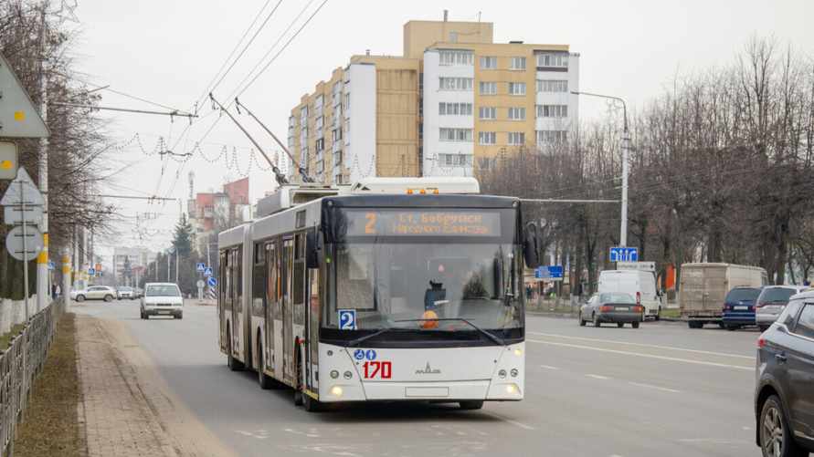 Фото: transphoto.org