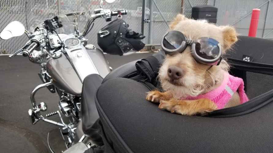 Фото иллюстрационное