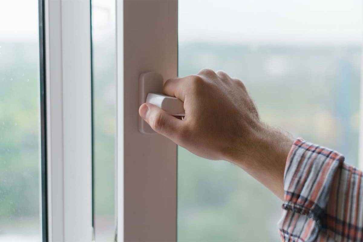 Фото: Shutterctock