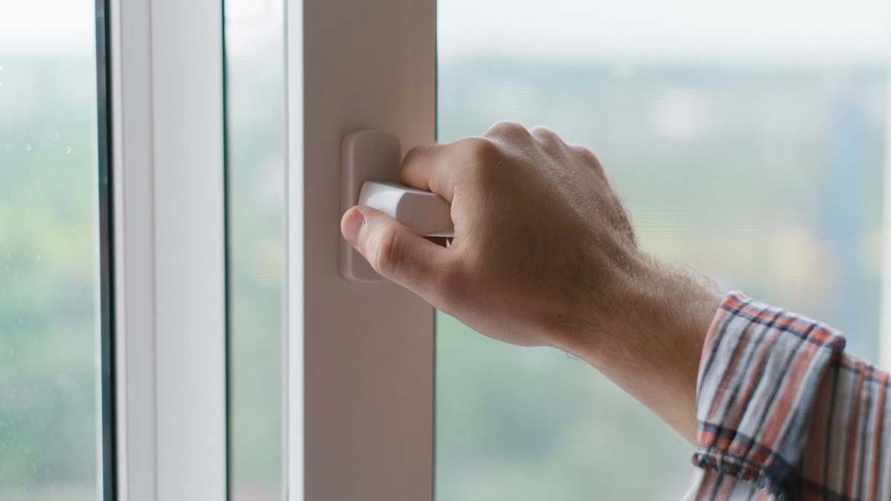 Фото: Shutterctock