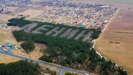 Минлесхоз Беларуси решил высадить надпись из деревьев, которую будет видно из космоса. Какую и где?