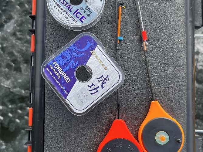 Фото: архив Ильи Аврейцевича