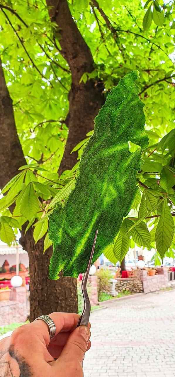 Зеленый чипс из обрезков зелени: укропа, петрушки, базилика