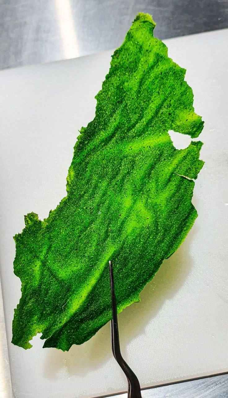 Фото: Владислава Дорошко