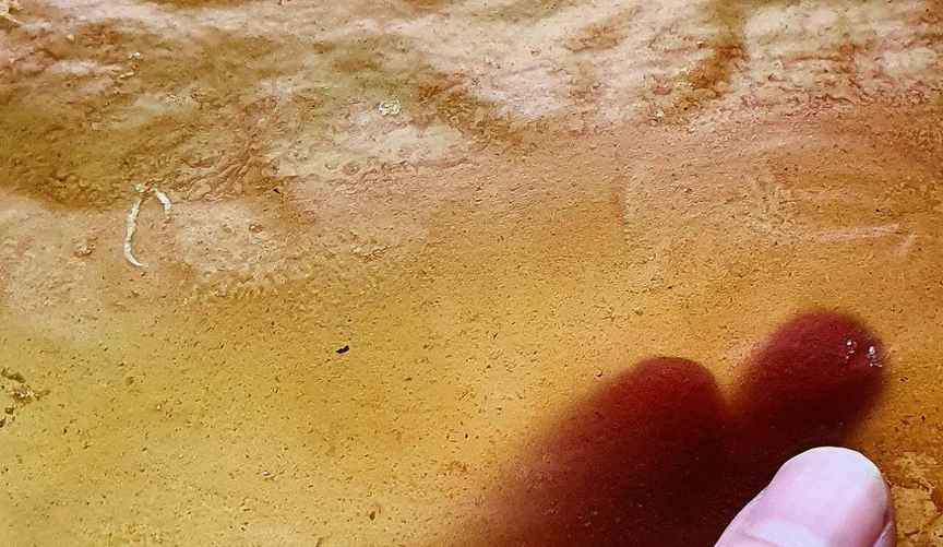 Чипс из лука, фото: Владислава Дорошко