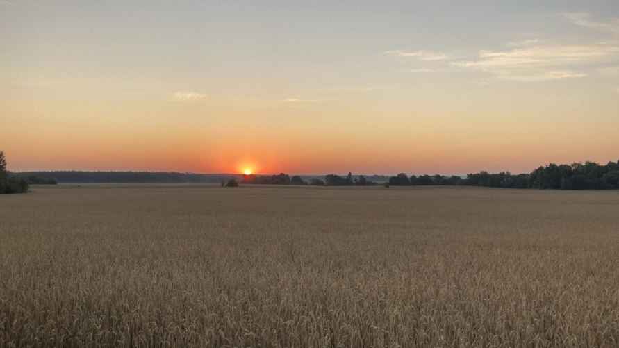 Фото Гродненского лесхоза