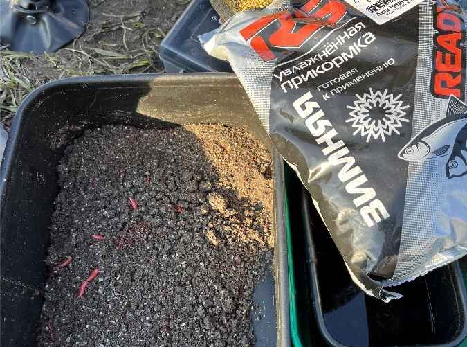 Фото: архив Ильи Аврейцевича