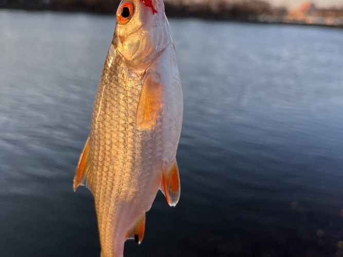 Фото: архив Ильи Аврейцевича