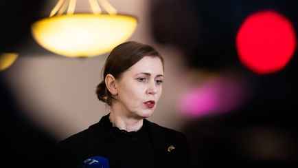 Министр обороны Литвы предложила отменить запрет на ядерное оружие в стране