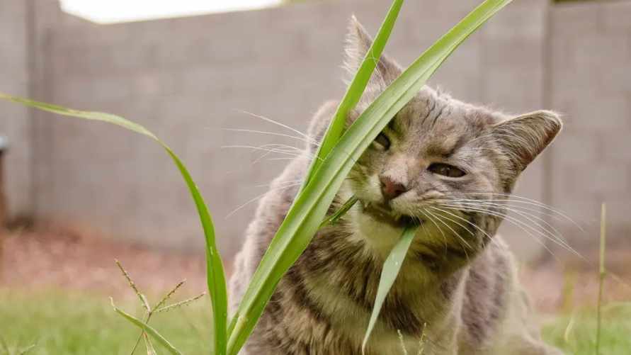 Фото: Getty Images