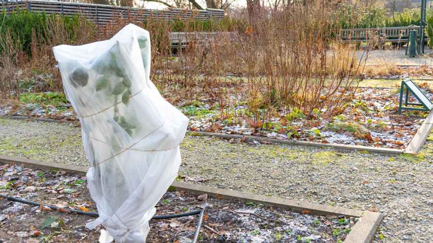 Фото иллюстрационное