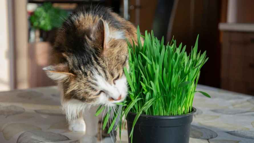 Фото: Getty Images