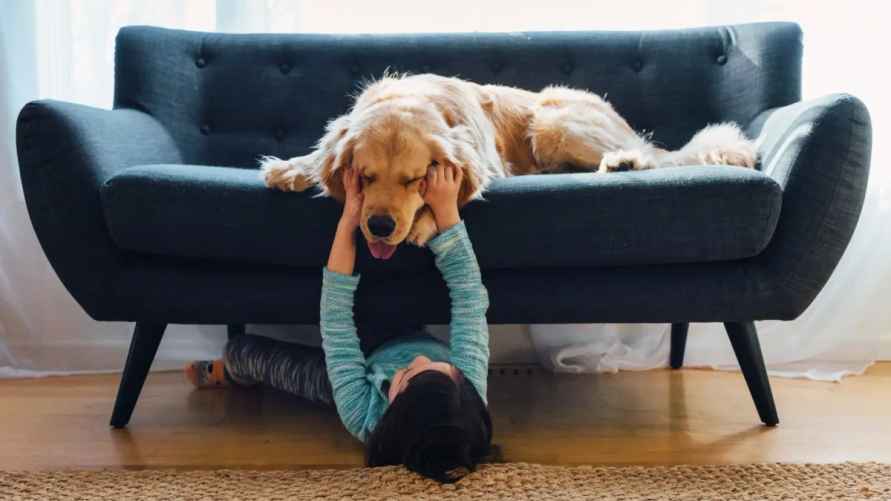 Фото иллюстрационное