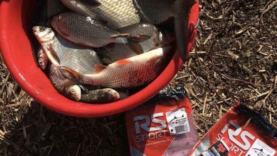 Фото: архив Ильи Аврейцевича