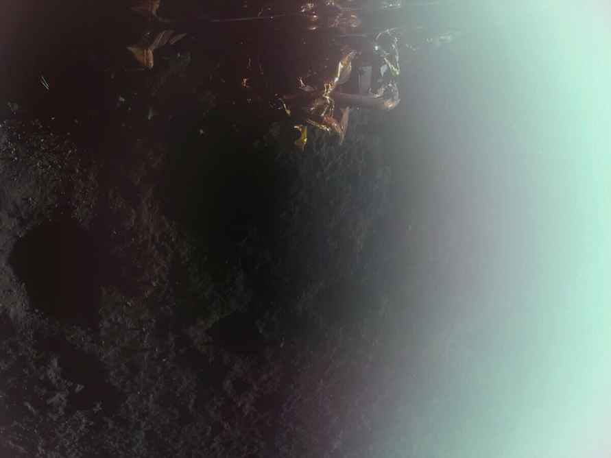 Исследовательский модуль Blue Ghost успешно прилунился с первой попытки и прислал первые фото