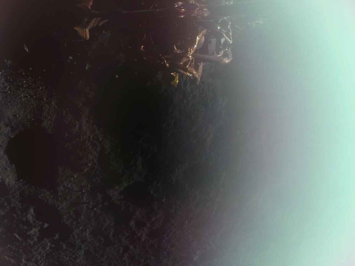 Исследовательский модуль Blue Ghost успешно прилунился с первой попытки и прислал первые фото