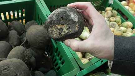 КГК предложил пожаловаться на некачественные овощи в магазинах. Но только в одной области Беларуси
