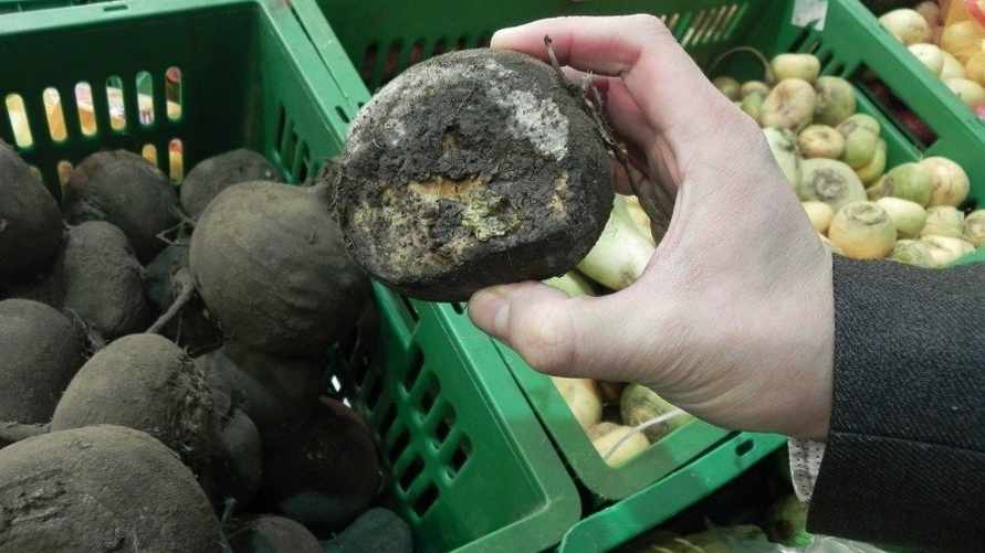 Фото иллюстрационное