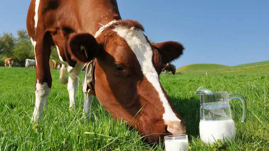 Фото иллюстрационное