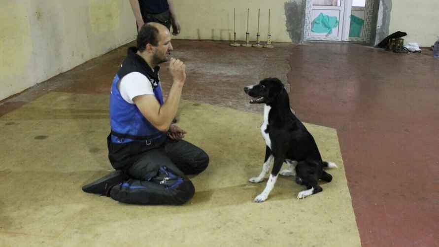 Фото: архив Дениса Буркевича