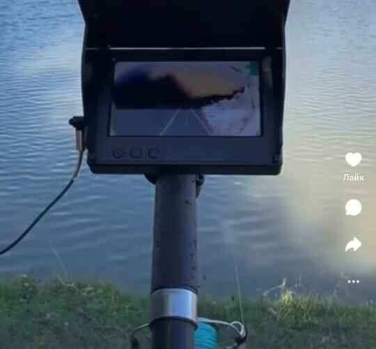 Скриншот видеоролика в Wibes