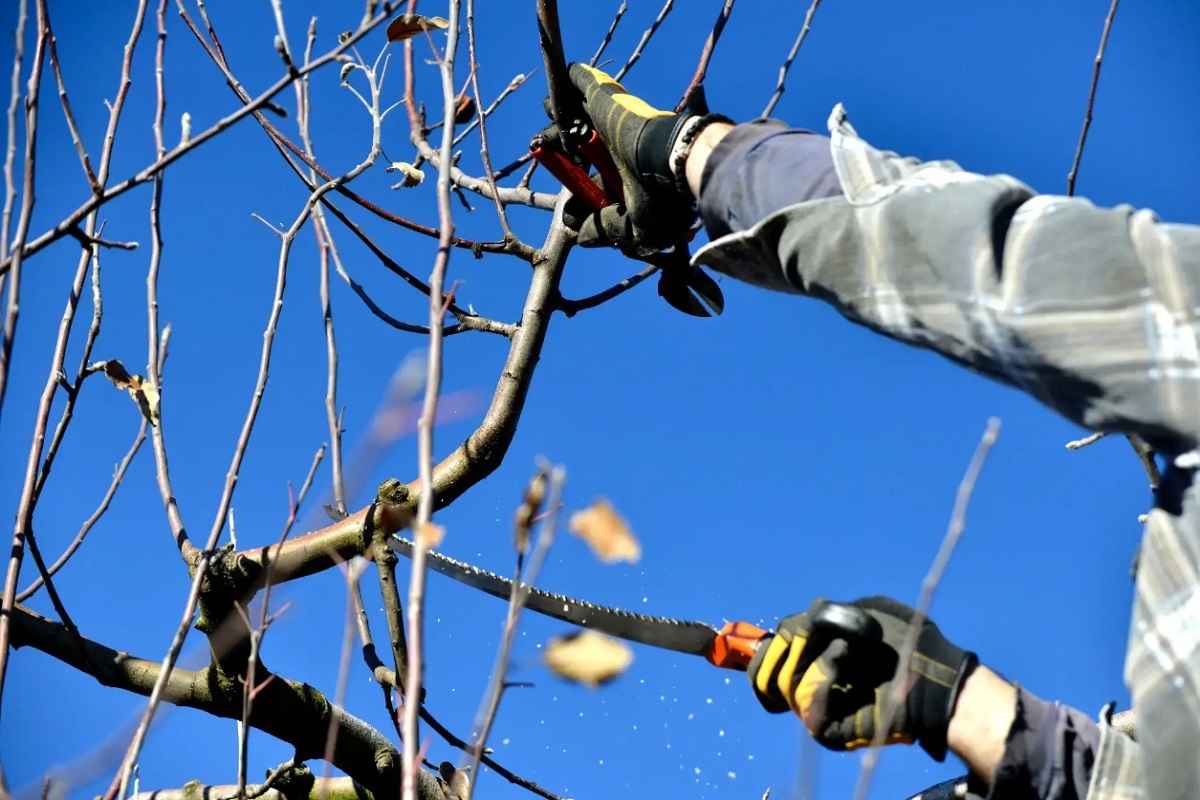 Фото иллюстрационное