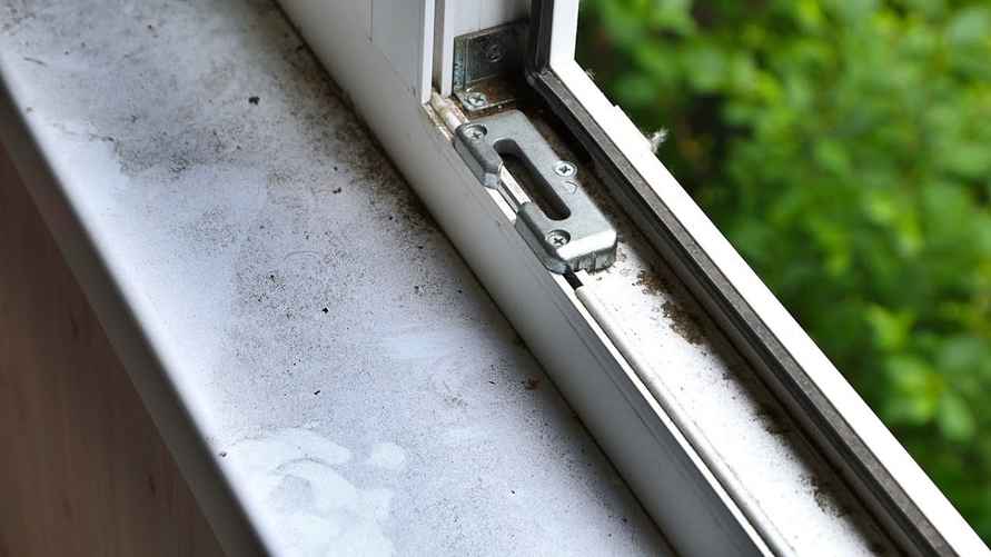 Фото иллюстрационное