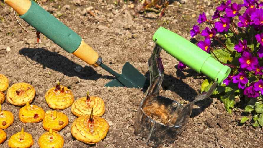 Фото иллюстрационное