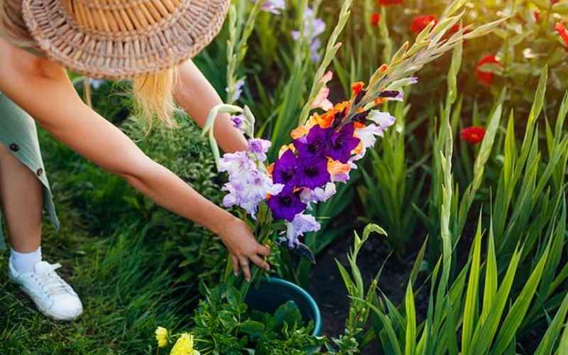 Фото иллюстрационное