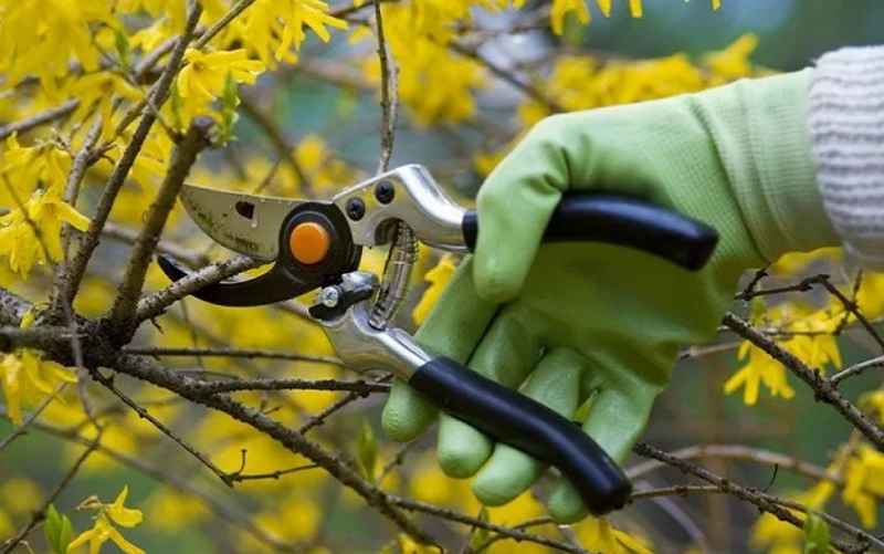 Фото иллюстрационное